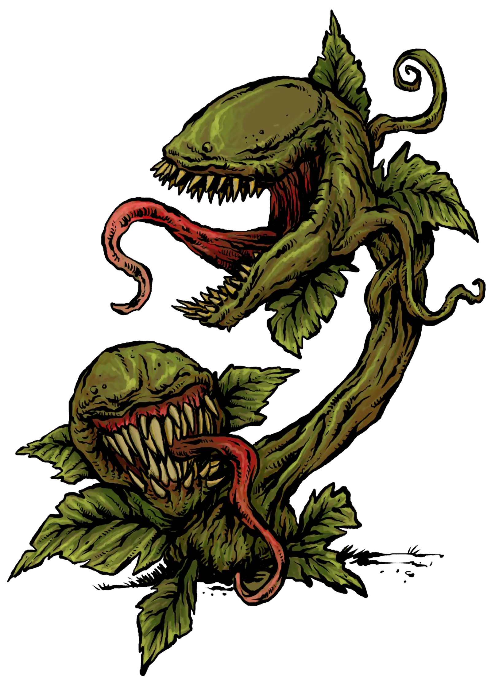 Gulgroot