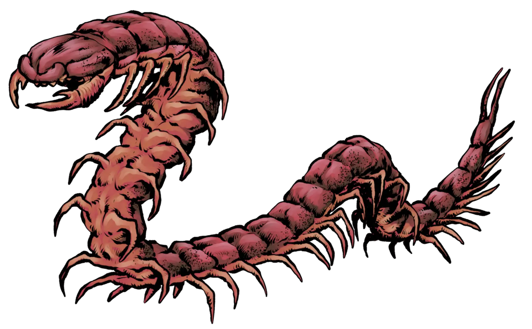 Subterrapede